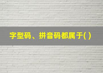 字型码、拼音码都属于( )